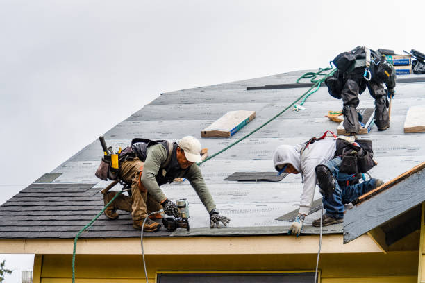 Professional Gutter Installation technician working in Fernandina Beach, FL